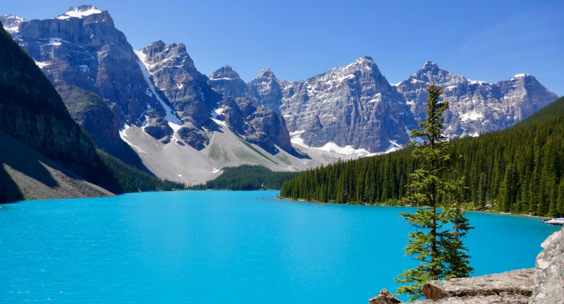 SGI Canada Newsletter, No.17 - January 1, 2021