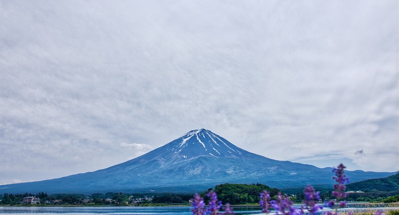 Together, Let’s Scale a New Mountain of Kosen-rufu!