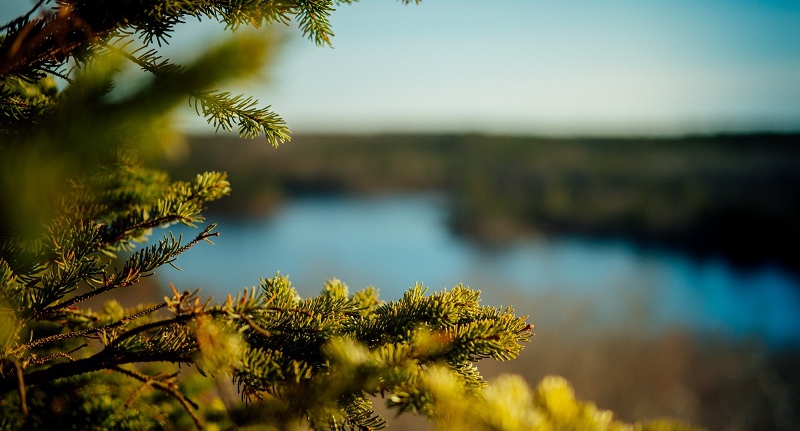 Message from SGI Canada General Director - Nova Scotia