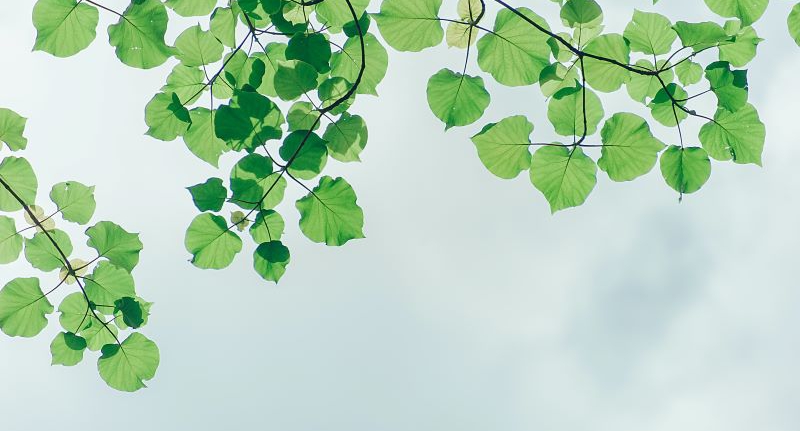 Un Message des Responsables Nationaux de la SGI du Canada